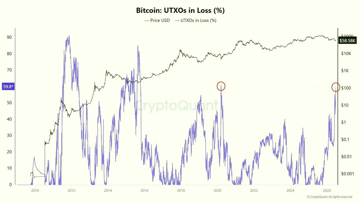 shellalydia's tweet photo. Bitcoin investors are hitting bottom with their losses 📝 https://t.co/lhnsPu54tX
