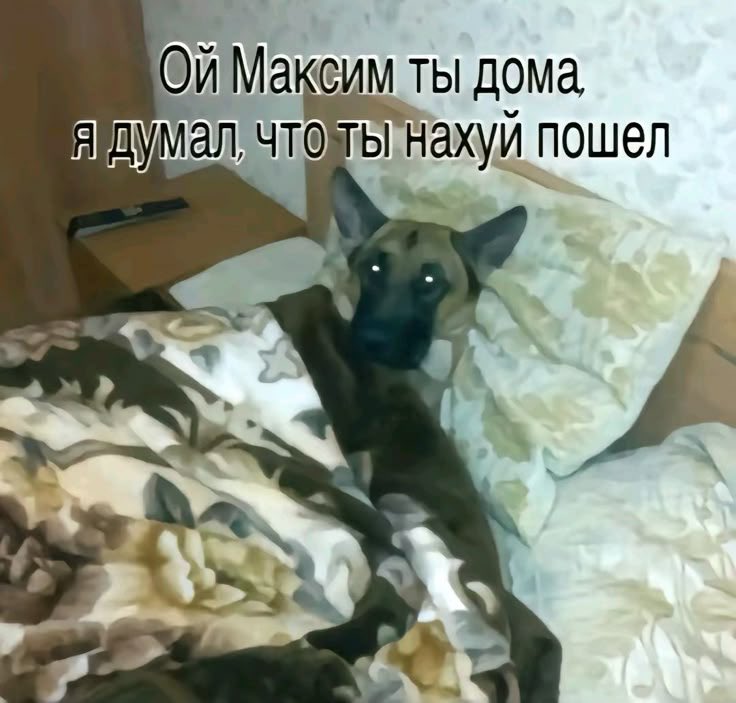 coixz_chu's tweet photo. @mssplin вайбы https://t.co/FOB8BeFC2N