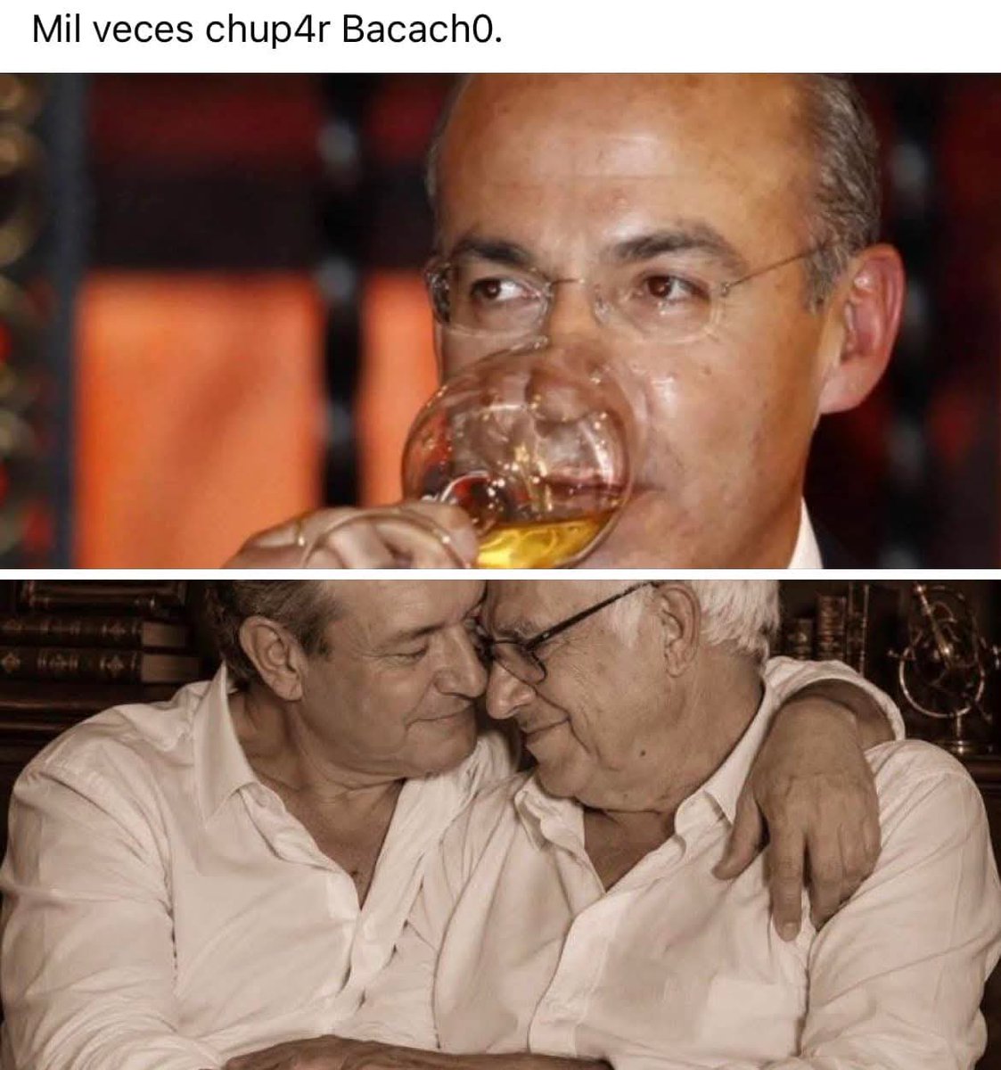 elrobromano's tweet photo. @GuillermoSRguez @JLozanoA #PerritaDeMonsiváis https://t.co/j2W6XxyAaz