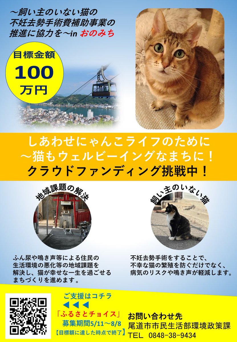 ご案内】しあわせにゃんこライフのために～猫もウェルビーイングなまち