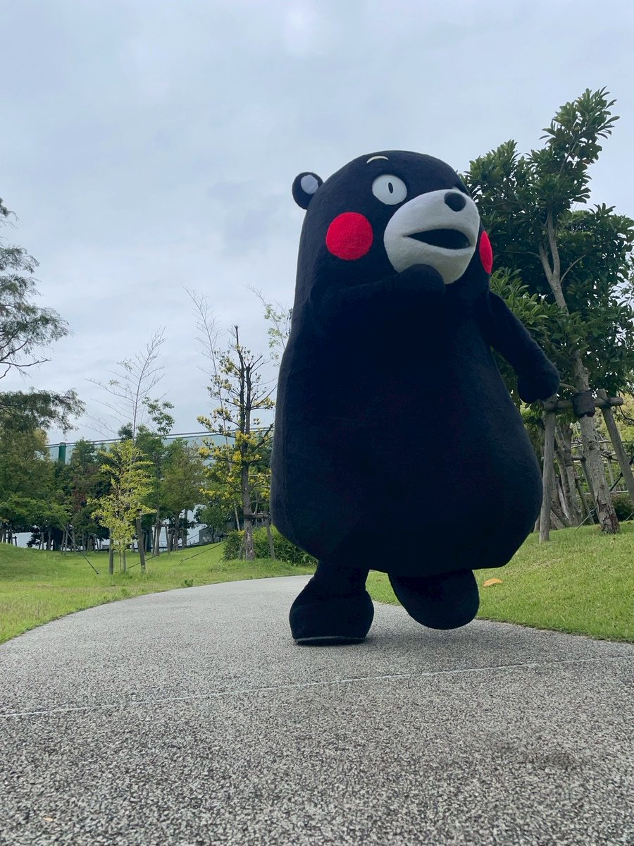 keitohi's tweet photo. @55_kumamon もんちゃん♥️おはくま〜☀
今日は、金曜日だね😊
あとひとがんばりだね😊
今日も、よろしくま〜🌼🍀🥤 https://t.co/PTyXBi8fCr