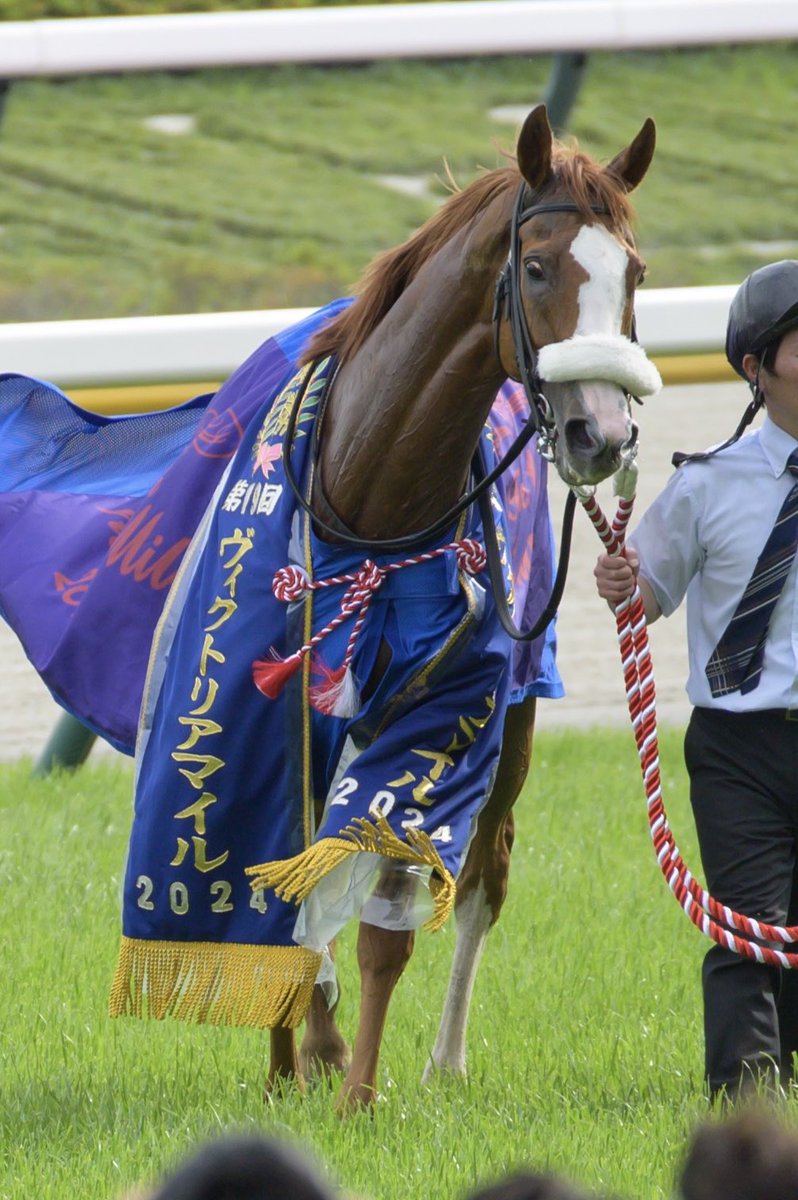 rrredcrowww's tweet photo. ヴィクトリアマイル勝利後のテンハッピーローズ
ドヤ顔？のような表情で観衆をみるのが印象的でした https://t.co/wXCHVejPPD
