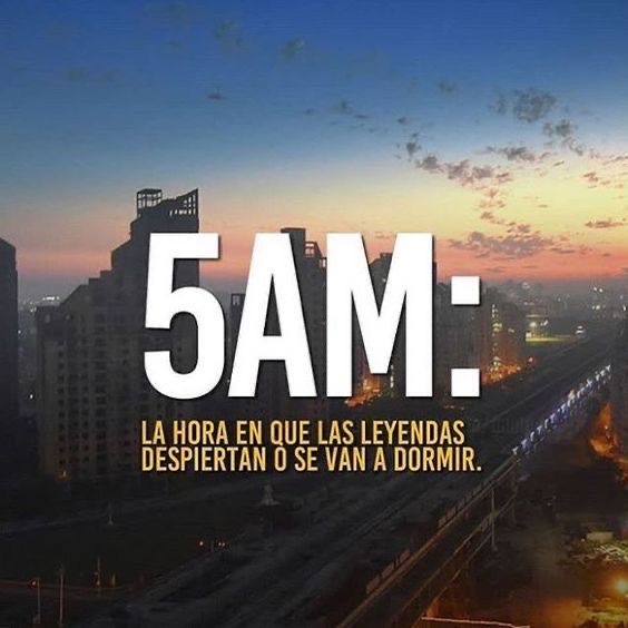 239_lonewolf's tweet photo. Vamos por el Viernes 💪☀️ https://t.co/i4GORLxWx5