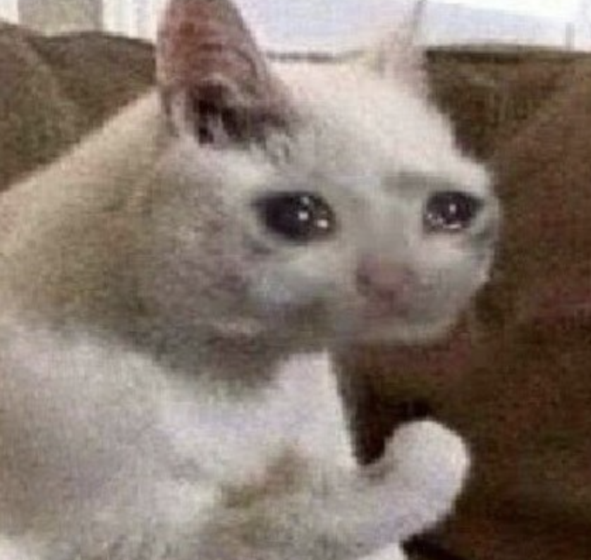 cryingcatsol_'s tweet photo. @artsch00lreject What about me @artsch00lreject ??????? https://t.co/ylZ5AOHpQ9