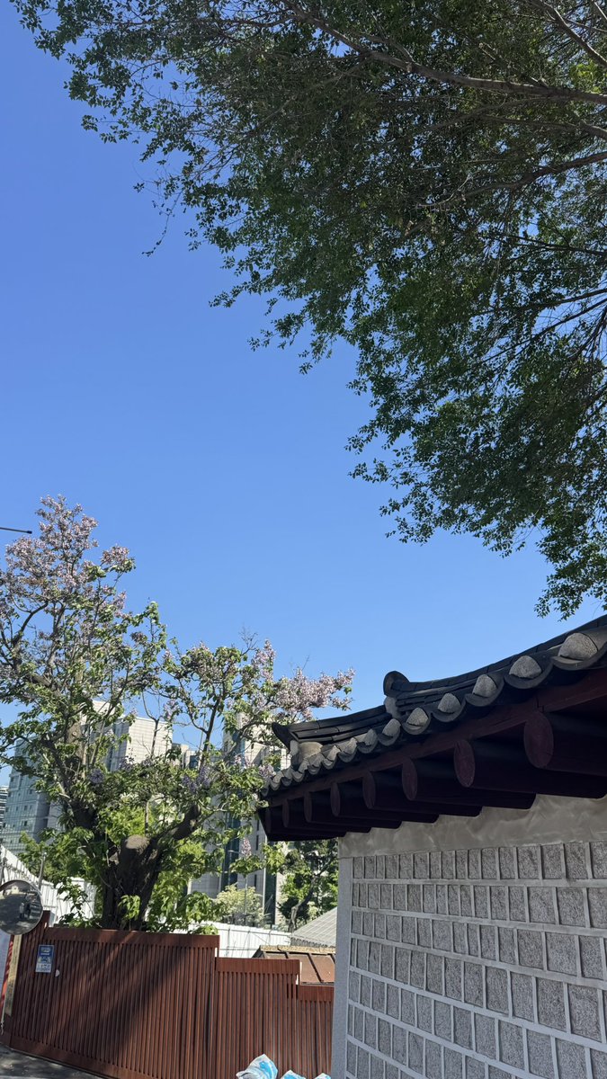 chobo_shutter's tweet photo. A hanok hiding between the high-rises.

📱 by chobo
#Korea #Seoul #Hanok #HiddenSeoul https://t.co/nMCKB1JvDp