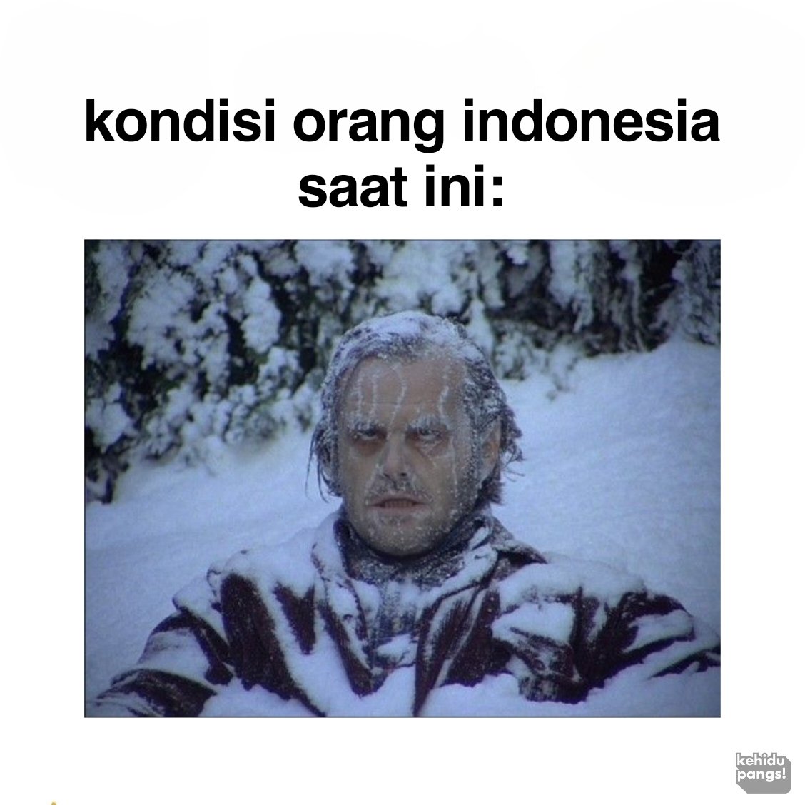 erpang tweet media