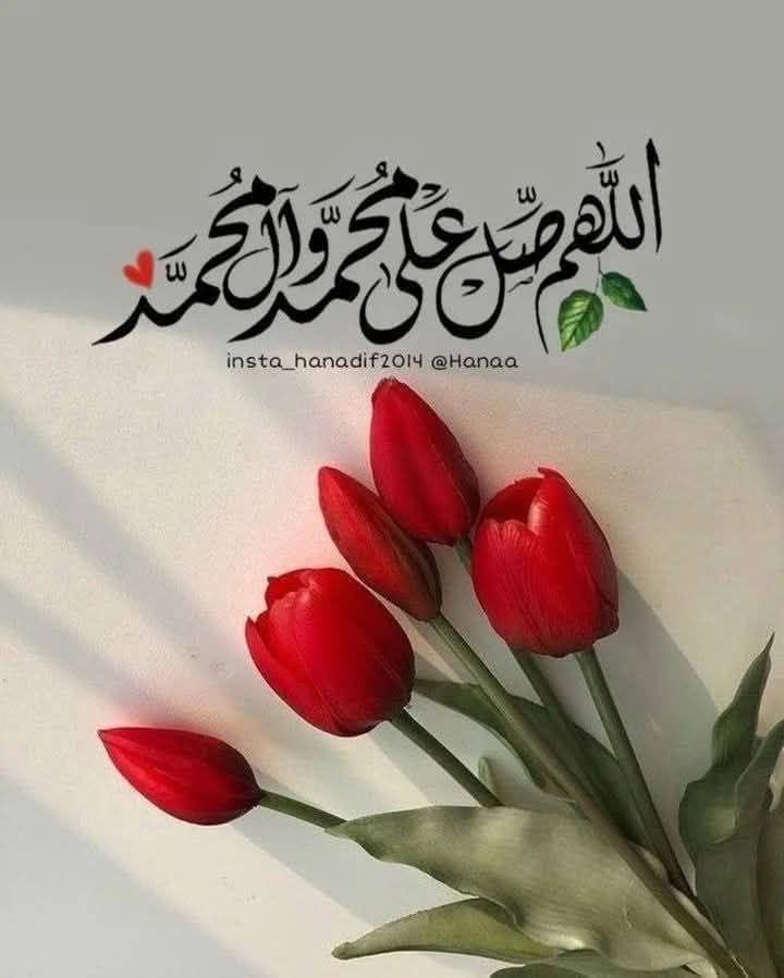 XU2gr1I21D5S0Ps's tweet photo. من مرَّ صُدفةً فليُصلي على النبي ﷺ "♥️
وأستغفروا لي ولأنفسكم 🤍

✿ฺÃ✿ฺ https://t.co/etA63IhoWl
