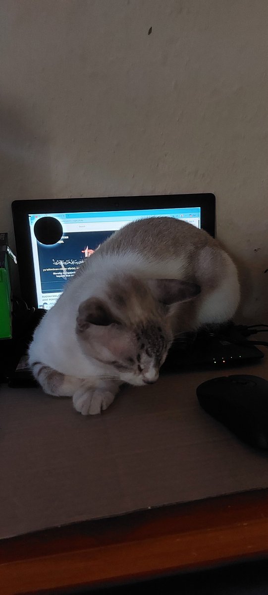 NikmaSolikha's tweet photo. Bener-bener ni si lucy https://t.co/6jRdnHAwD5