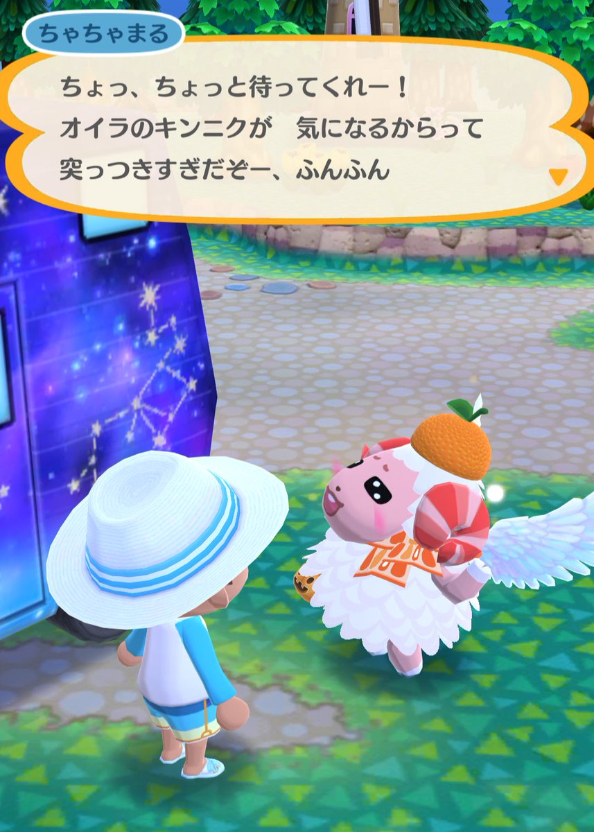 ちゃちゃまる