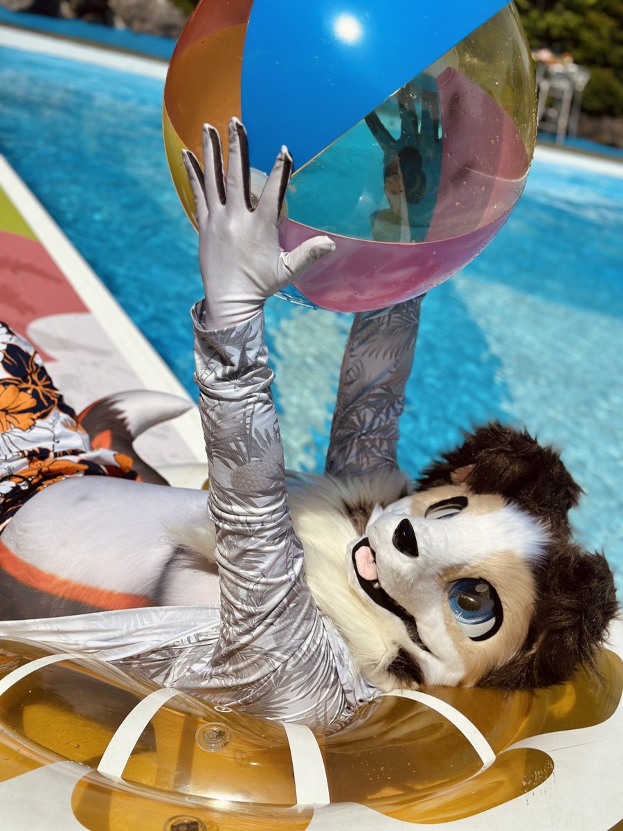 7月なので夏を満喫する犬をどうぞ🐕️🏖️ #FursuitFriday