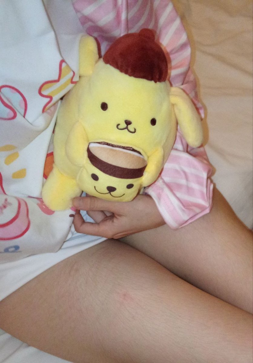 Fembuglover's tweet photo. I love my little buddy <3

#femboy #pompompurin #moothunt https://t.co/1ZuVo6PnrV
