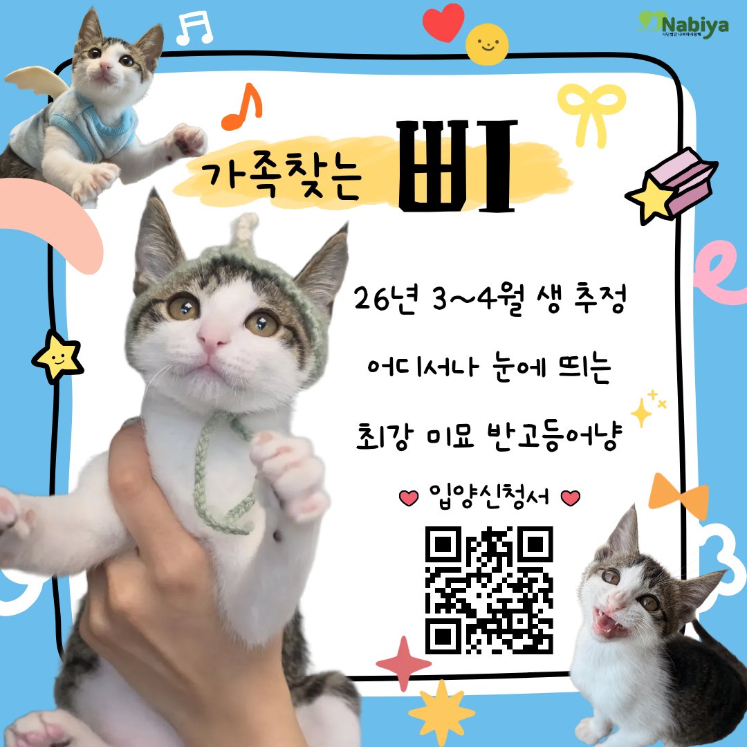 _imbo___'s tweet photo. 빠삐뿌뻬뽀 둘째 '삐' 가족찾아요!

▫️이름 : 삐
▫️26년 3-4월생 추정
▫️최강 미묘
▫️반고등어
▫️입양 가능지역 : 서울 경기 인천
▫️입양 신청 링크 : https://t.co/xBIFNFOuHO https://t.co/qACWYA9sLp