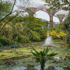Saud1F5's tweet photo. @abdul517161 طيب هذي كلها صناعية من 0 https://t.co/HFGiQWoTo7
