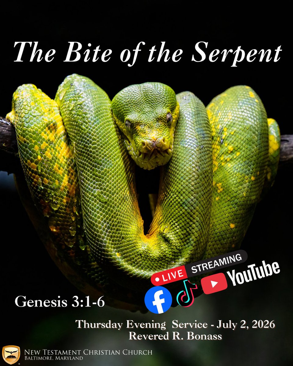 NTCCBaltimore's tweet photo. We are LIVE with Thursday Evening Service! Log in and join us on:

Facebook at https://t.co/cLweokn7Bn

YouTube at: https://t.co/GdI86SU4ly

And on TikTok Live!

#newtestamentchristianchurch #ntcc #scripture #church #midweekservice https://t.co/CGIPYwW5WB