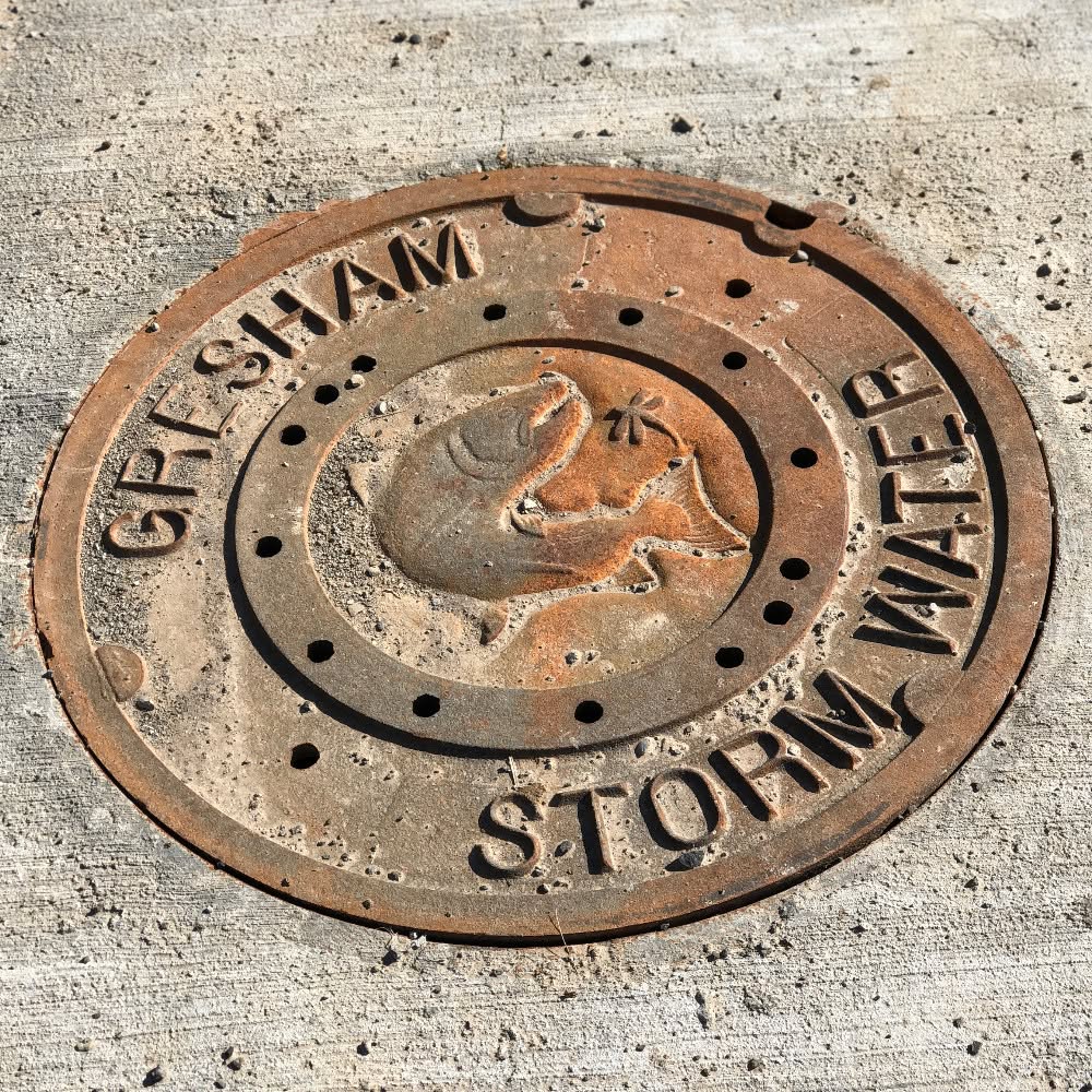 CityofGresham's tweet photo. 🇺🇸 Enjoy the celebration this weekend, but please remember to clean up any firework debris. 

Chances are that grate on your street connects to Gresham's river's and streams. Fireworks contain chemicals that are harmful to water, fish and birds that may think it's food. 🐟 🦆 https://t.co/LWWEOzUspz