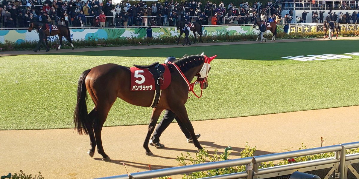 中山記念のパンサラッサ、当時は初めての競馬場でとりあえず上位人気