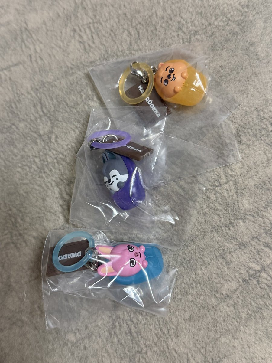 n15738610's tweet photo. SKZOO めじるしアクセサリー　ソロキャンプ
交換してくださる方いませんか🥺

譲　写真のもの
求　🐰と🐥

※郵送希望📮です https://t.co/Qb7Hj95hUE