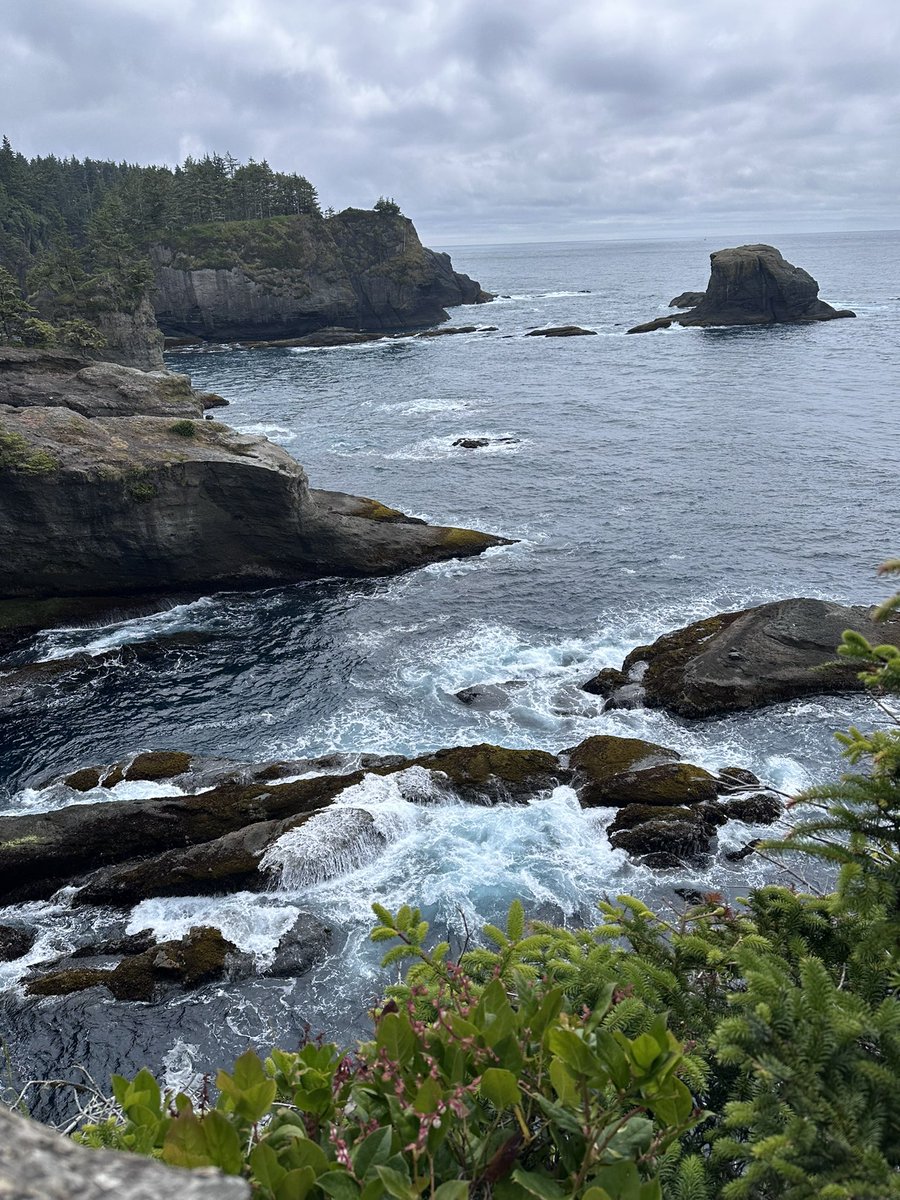 HTX_87's tweet photo. Olympic National Park pt. 2 https://t.co/gawSmV6ljo