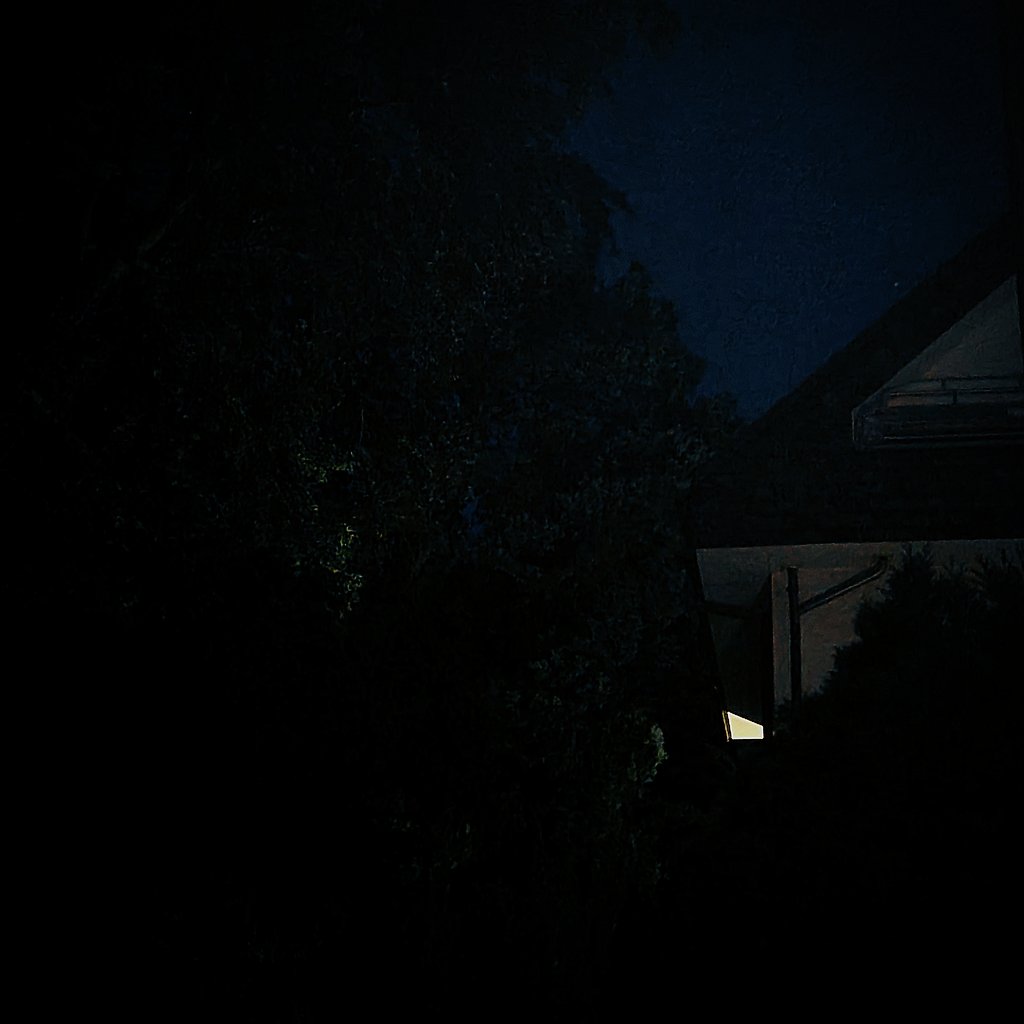 Sehyoons_Cat's tweet photo. 2am vibes https://t.co/ympO2Ti6A8