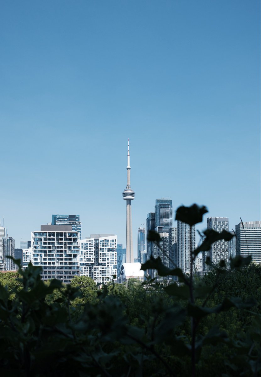 DallasShea's tweet photo. Chasing the CN Tower #Toronto 

FUJIFILM X100VI https://t.co/B0RDpguSo5