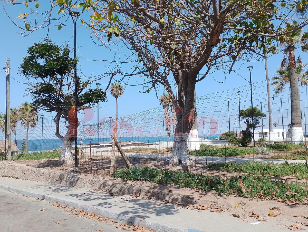 NoticiaRosarito's tweet photo. #Rosarito 📣| IMAC RECIÉN INAUGURADO, CONVERTIDO EN OFICINAS 

Leer más: https://t.co/2Q3p7nLXa4 https://t.co/y8fhYpatNu