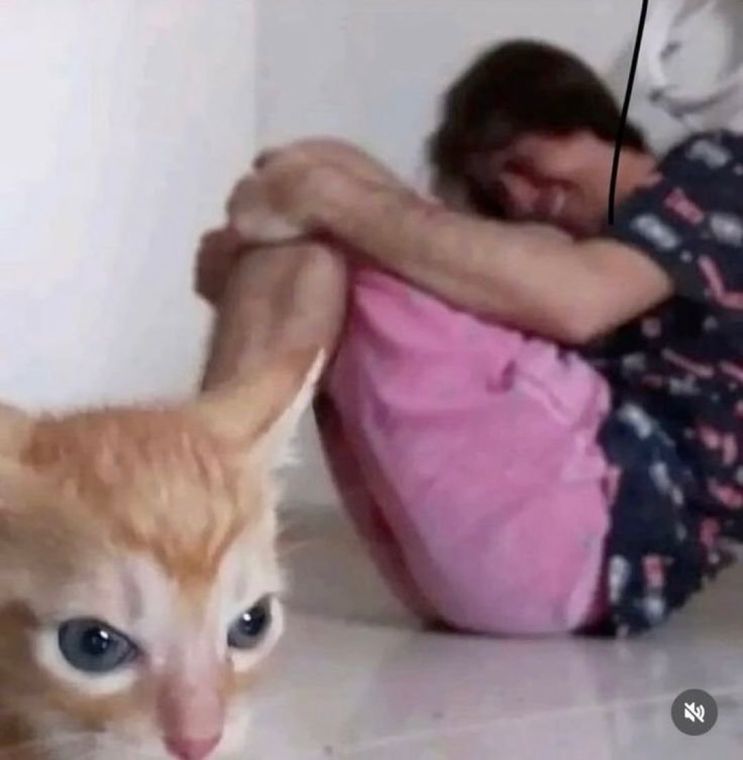BrokenWolffie's tweet photo. This is literally Ashveil &amp; Sparxie https://t.co/d6JztNy1tz