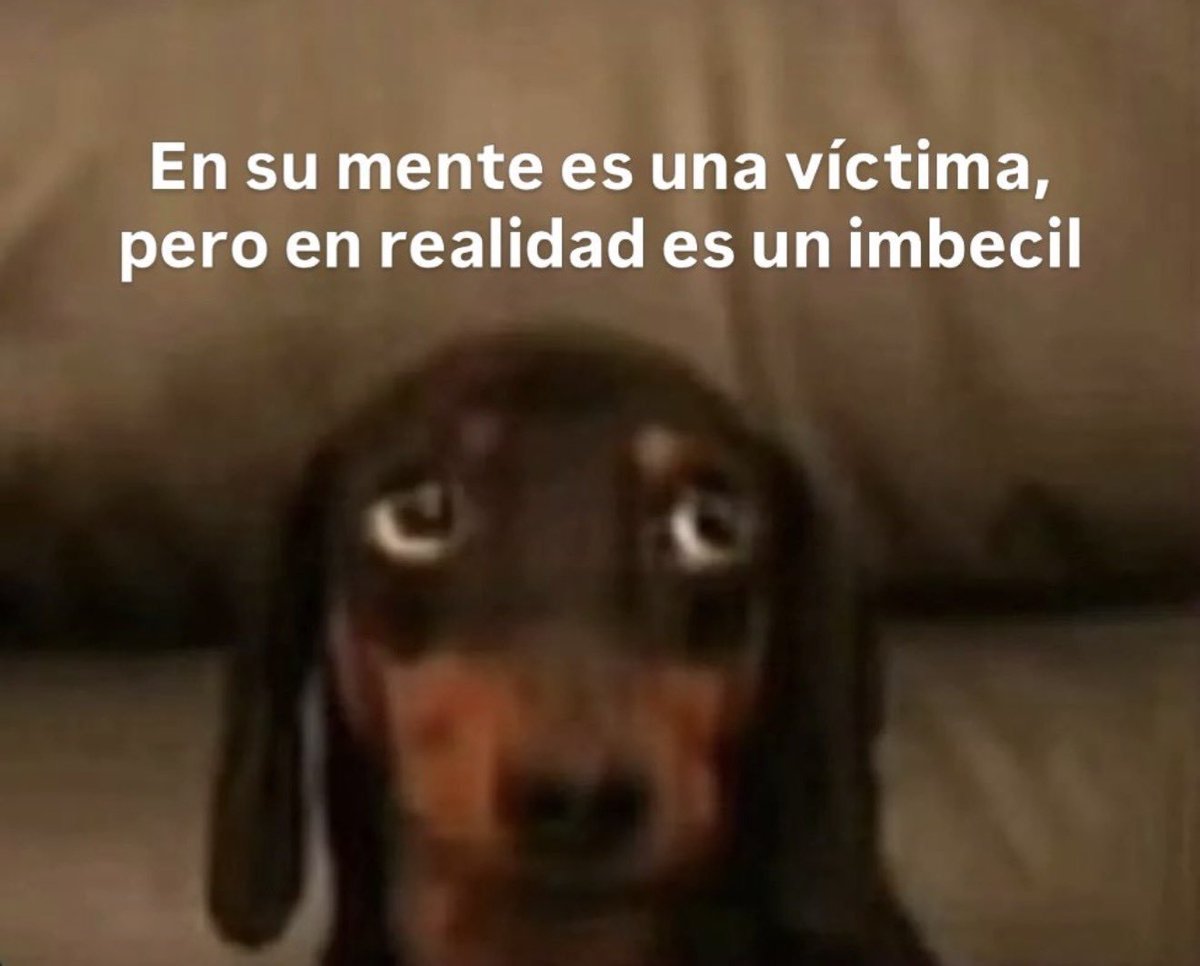 ojoscol0rsol's tweet photo. https://t.co/KPH6zfiVKC
