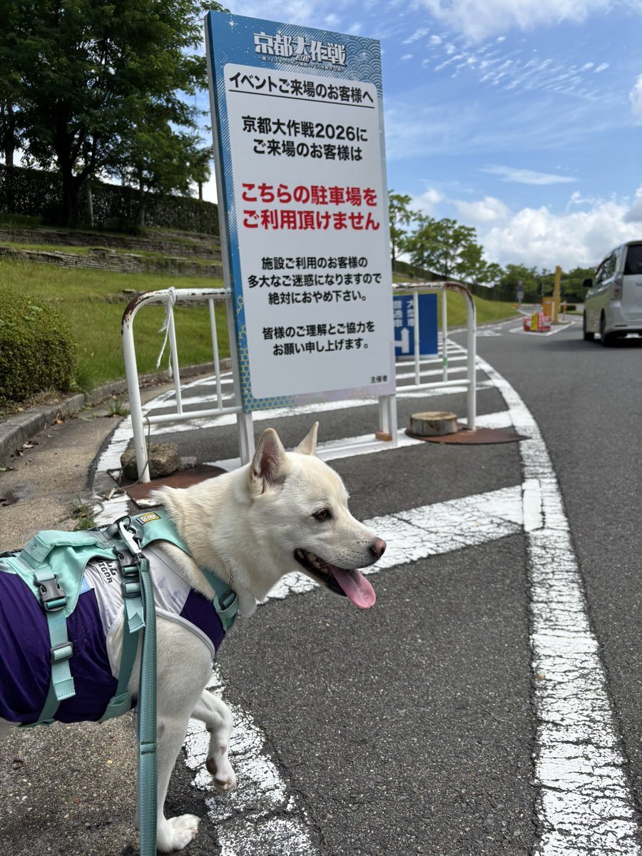 sakimeg618's tweet photo. ⚠️京都大作戦へ徒歩・自転車バイクで城陽ゲートから入場される皆様にお願いと注意⚠️
城陽ゲート付近に立命館宇治高校の寮が出来ました。
早朝や夜に大声で騒ぐと寮生達に迷惑がかかる恐れがありますのでご注意下さい。
#京都大作戦2026 https://t.co/YcqsOKehou