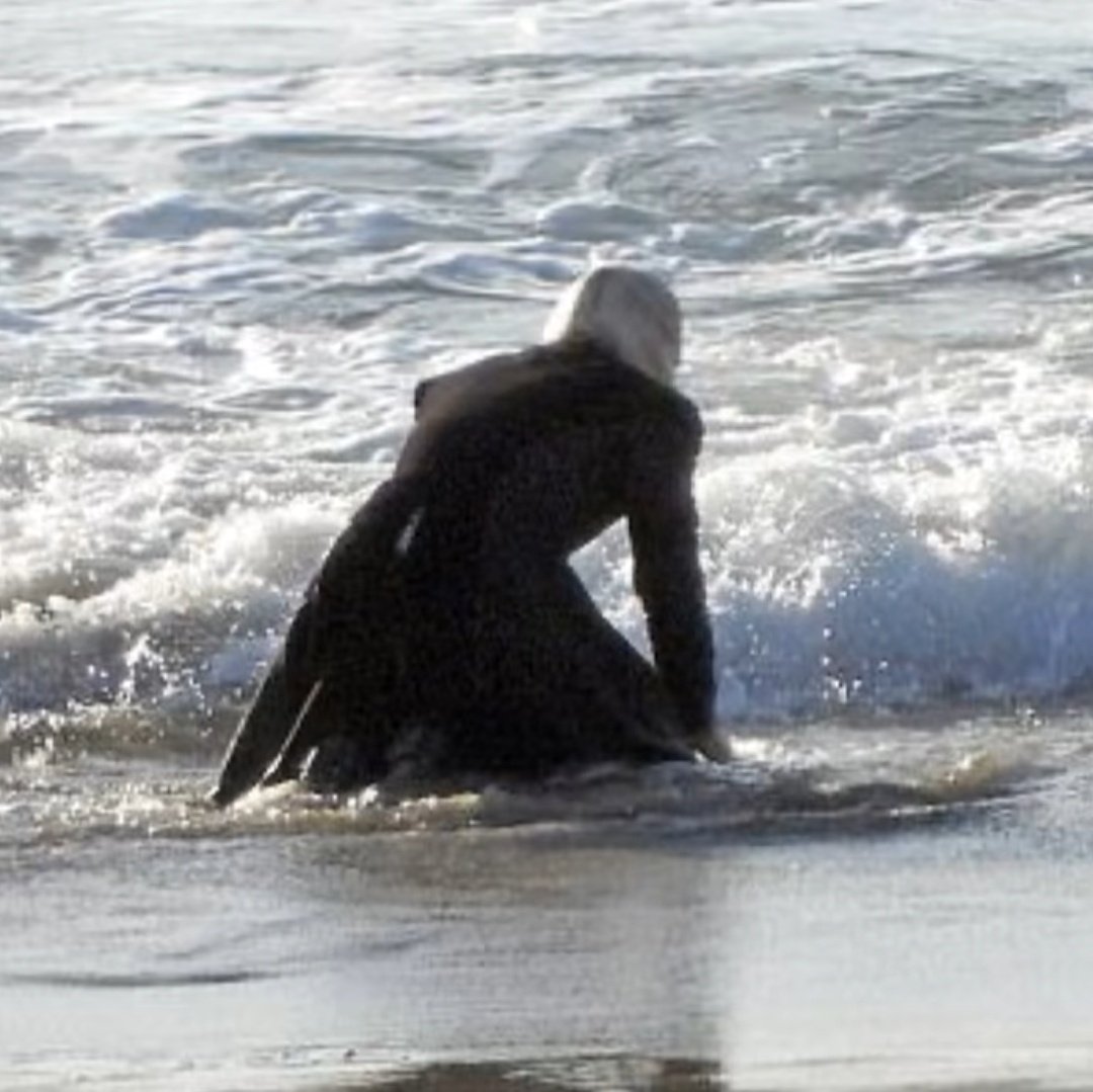 itsnotsps's tweet photo. kinda feeling like Daemon on the beach mourning Visenya rn https://t.co/X8pBzMJnMS