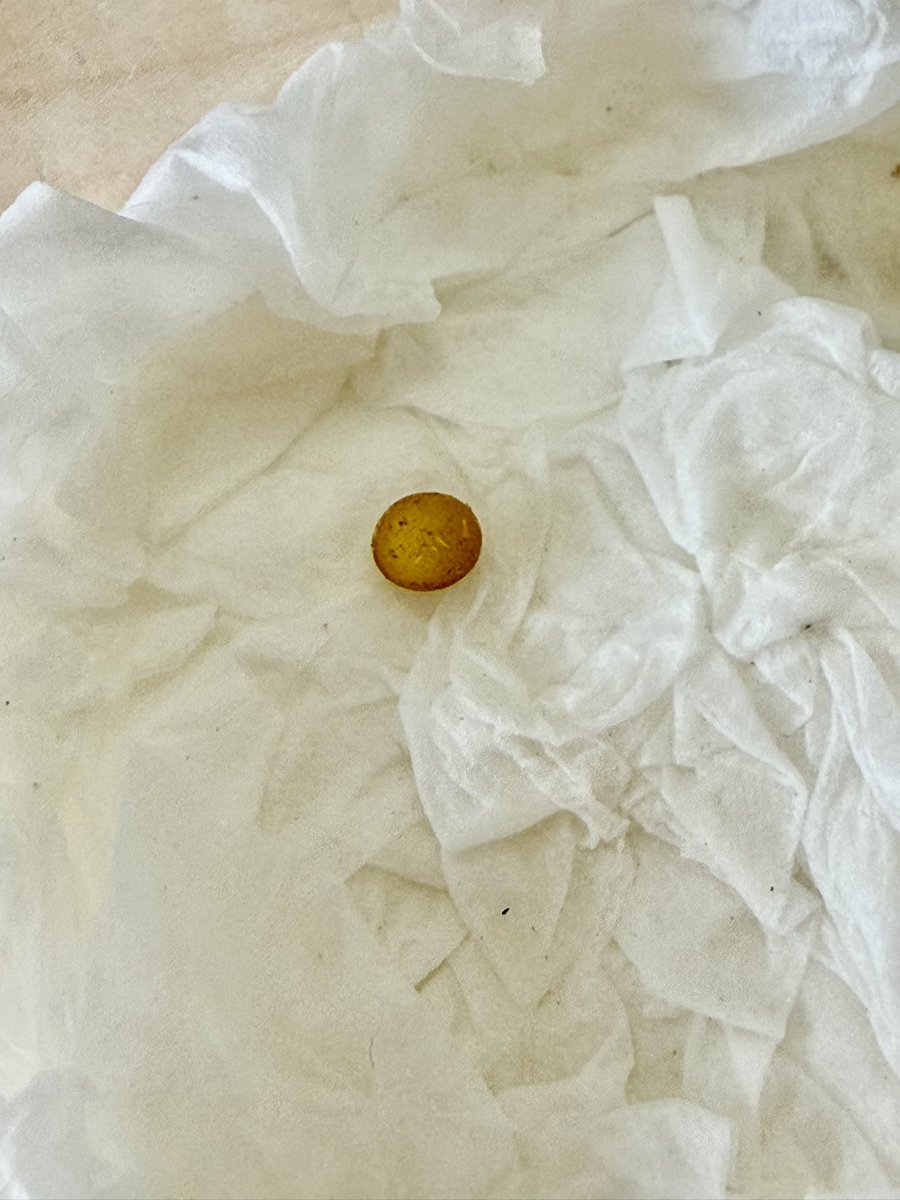 kimagure0018's tweet photo. 5／27割り出しでの卵🥚写真では黒っぽいですけど、そんなに黒くない孵化しそうな卵🥚ですけど7／3でまだ孵化しません😅１ヶ月以上経って孵化した事例のある方、いらっしゃいますか？ https://t.co/bvb5ssfDIv