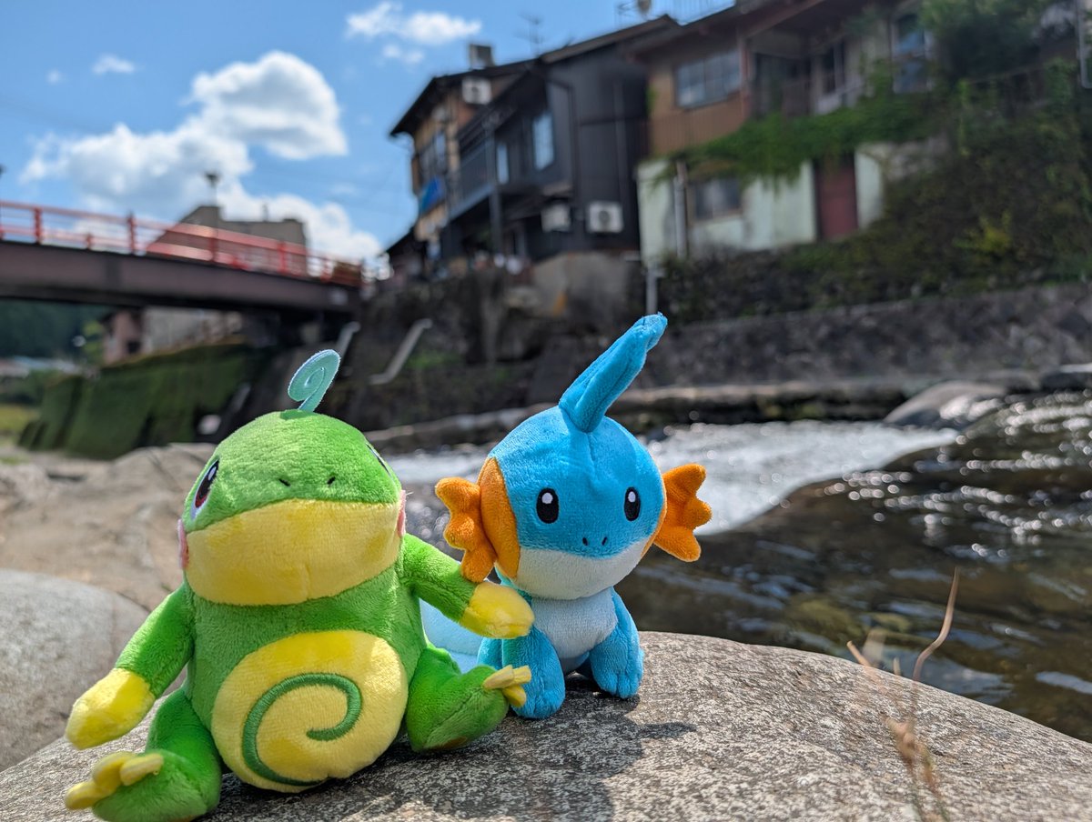 夏って感じでいいよね #ミズゴロウ #ニョロトノ
