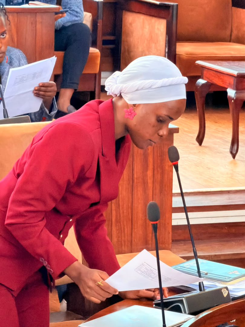 ShamimNambassa's tweet photo. Pleased that yesterday’s meeting successfully constituted the Council Standing Committees. 

These committees are the engine of Council, where much of the work of governance, oversight, and service delivery begins.

Good morning bantu bange 😊 https://t.co/hFZkaJR8BW