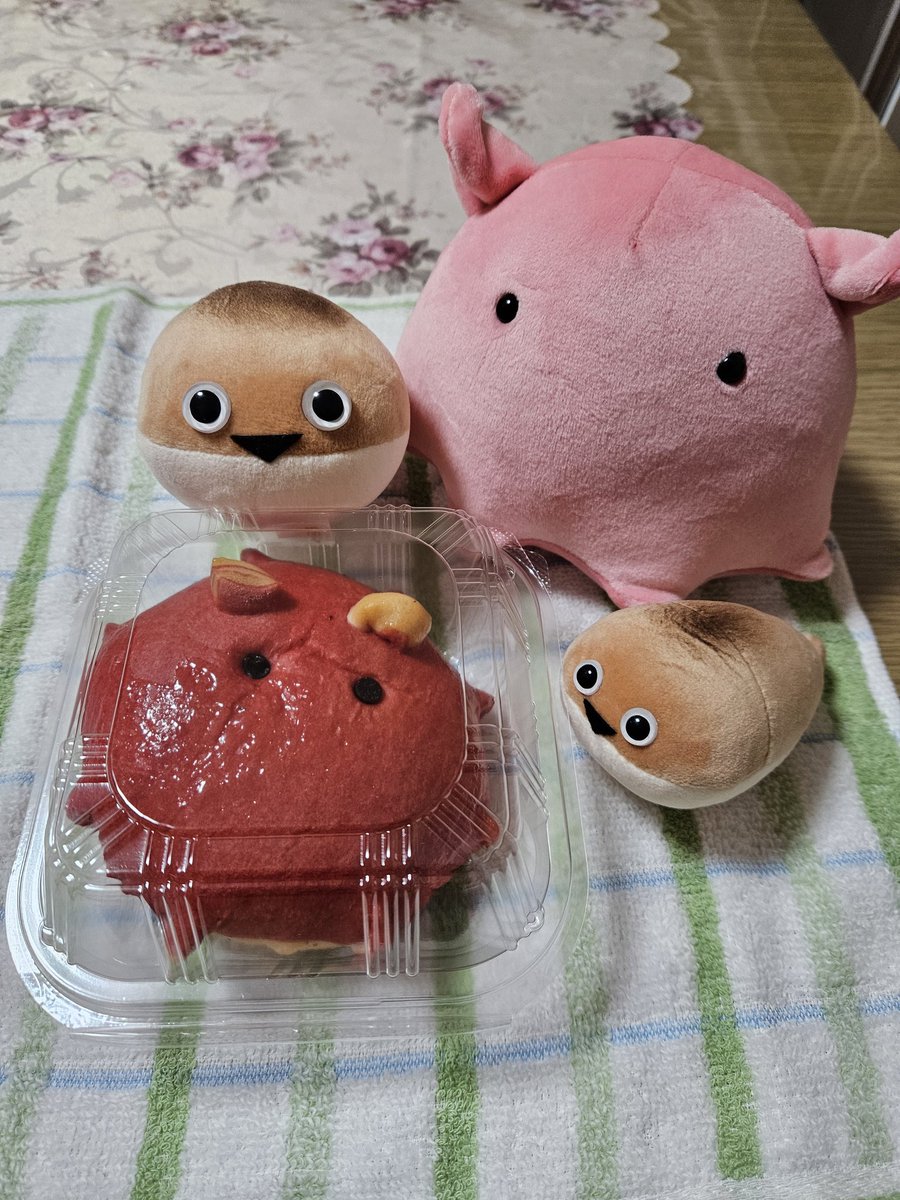 今日のお昼パン‼️ ぱんぴす｢これ、パン?｣ めんだこちゃん｢めんだこ