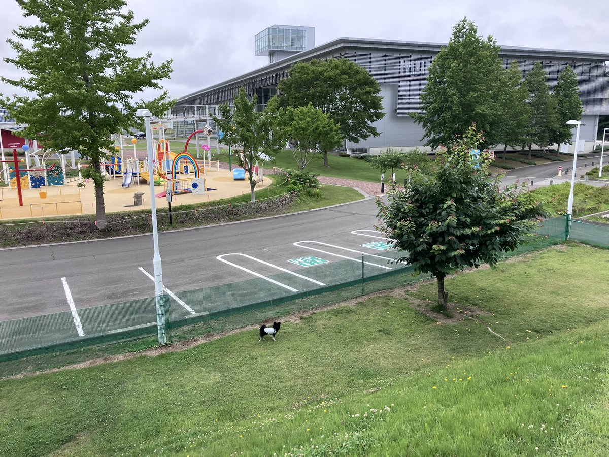bakkasu299's tweet photo. 完全退職後初キャンプ🏕️の前に三沢航空科学館のドッグランで散歩。 https://t.co/gJ98E4lwTJ