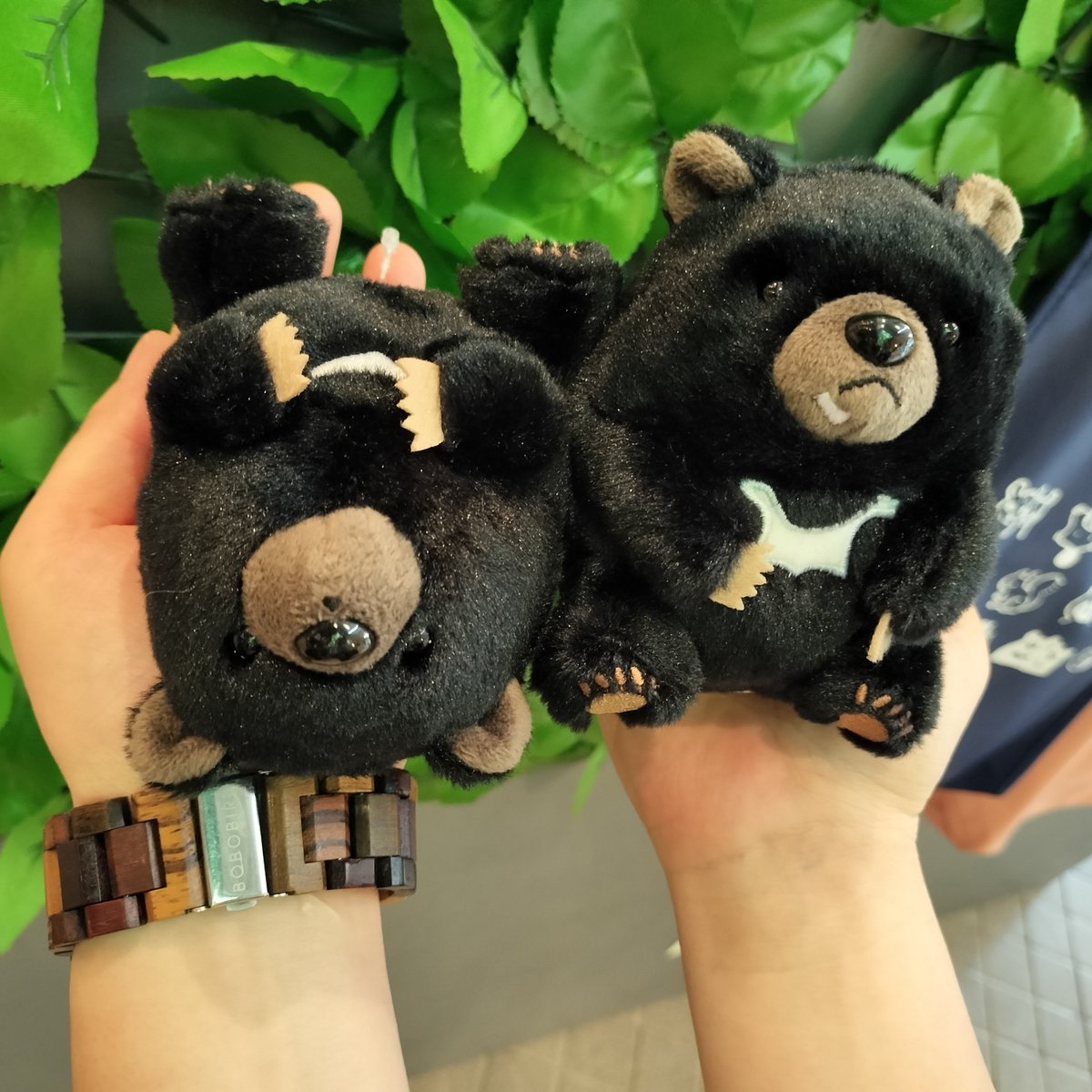 Kyomoさま確認ページ♡ ぽちゃまるシリーズのZOOMOオリジナルver.にニホンツキノワグマ