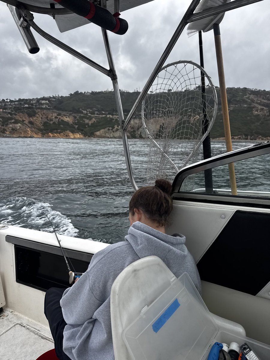 mwmullane's tweet photo. A little fishing with the little one … not a bad day on the water ! https://t.co/nhl5P6iTK1