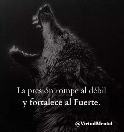 VirtudMental's tweet photo. https://t.co/DcROnyPdqc