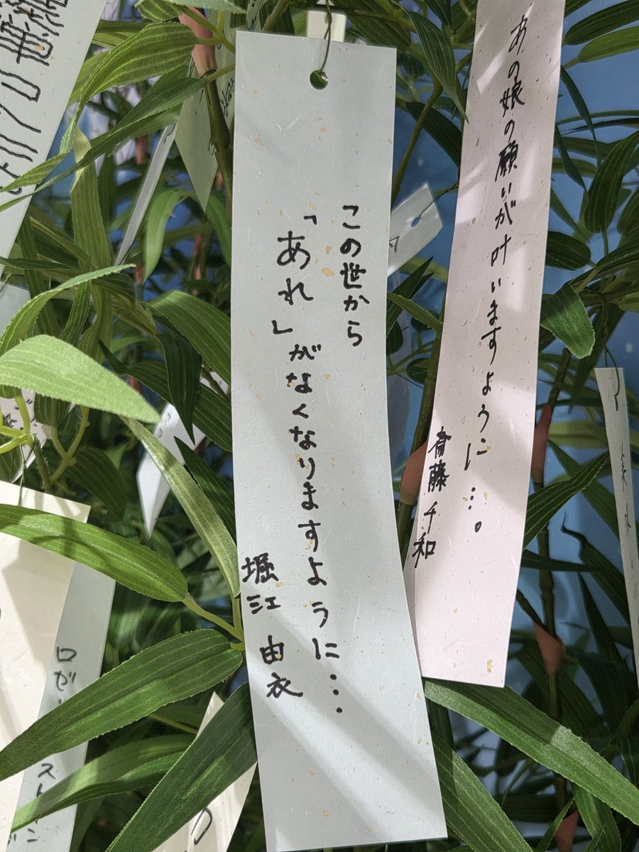 pokekaoto's tweet photo. 物語シリーズ

アニメイト池袋 https://t.co/KIAmyZYpZe
