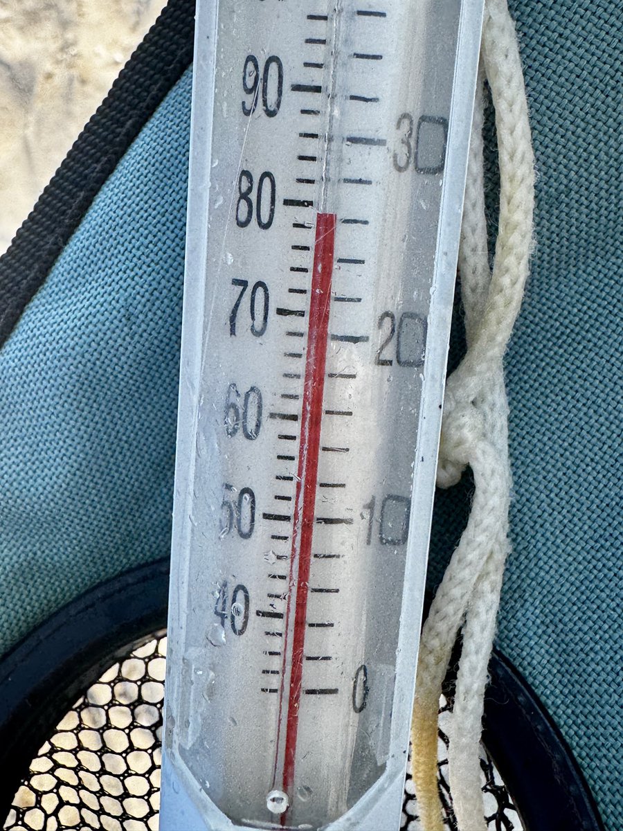 globalQZ's tweet photo. It’s officially summer! Water temps 100-200’ fr shore @ Long Beach/ #CraigvilleBeach #CapeCod #MA 
79°F/26C There’s talk of #jellyfish off #Eastham. I spotted an oval larva today. Have u seen one? @ericfisher @Met_CindyFitz @TheTKWeatherXp @evezuckoff https://t.co/6g8TKRezME