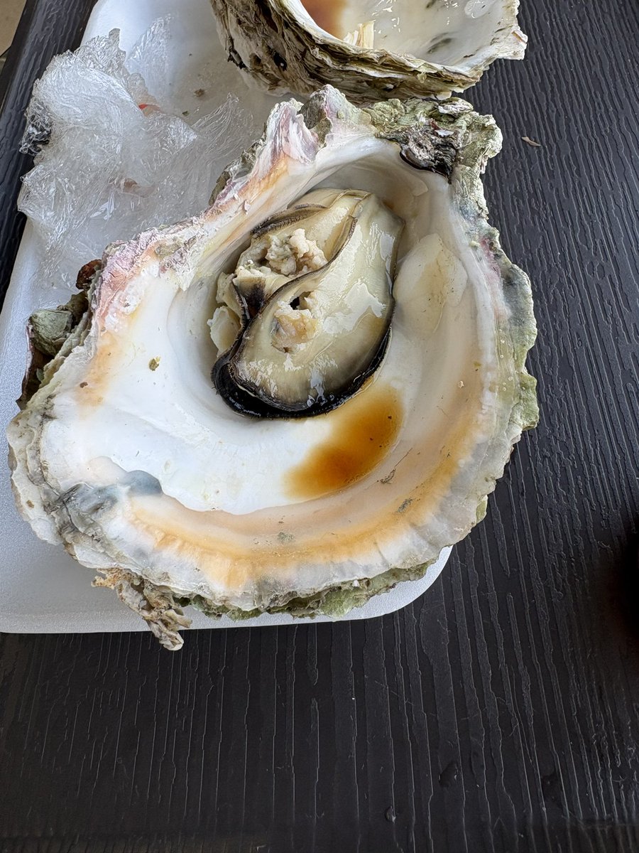 hrk300189's tweet photo. 美味しい😋 https://t.co/4kqi1uKf0P