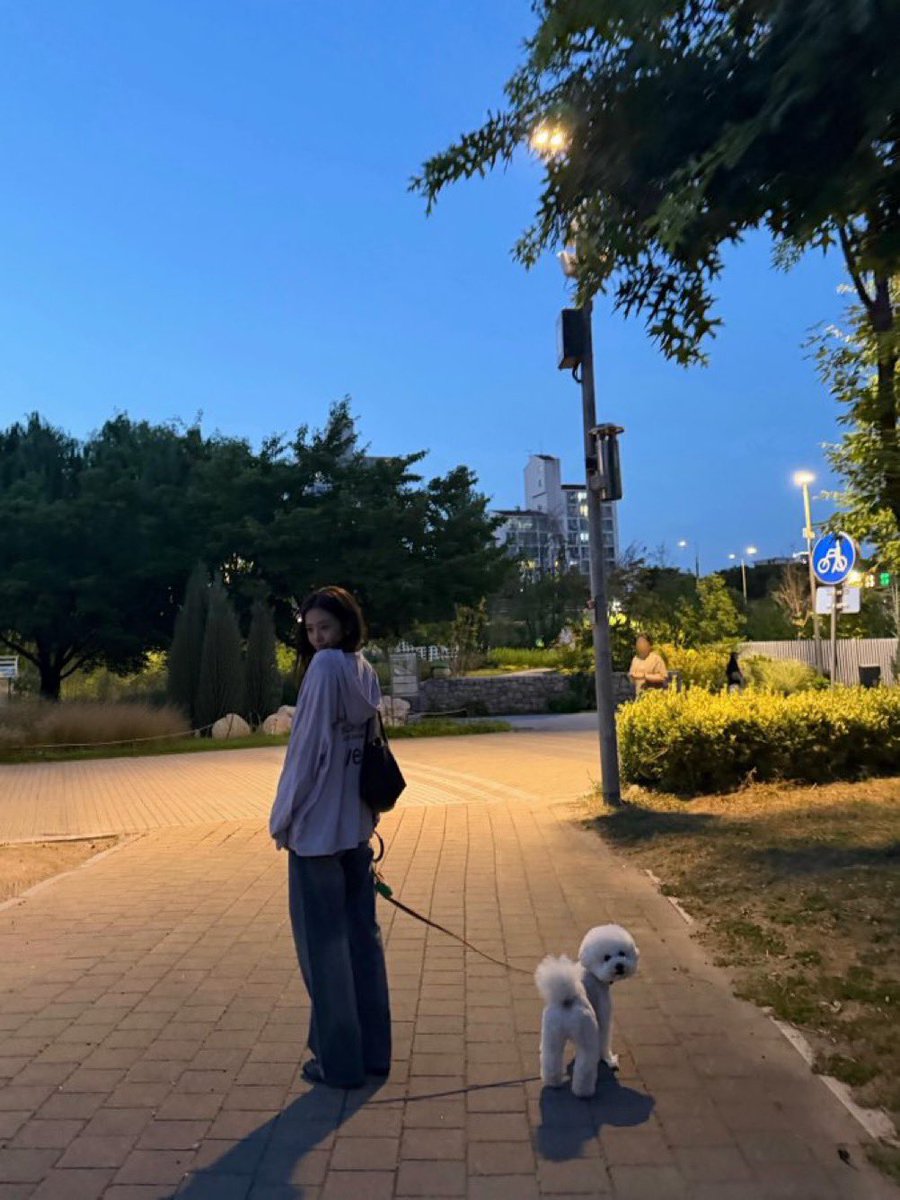 Elle_Dvo's tweet photo. #金曜の布教 
🐶 https://t.co/MXFFzw7Cyp