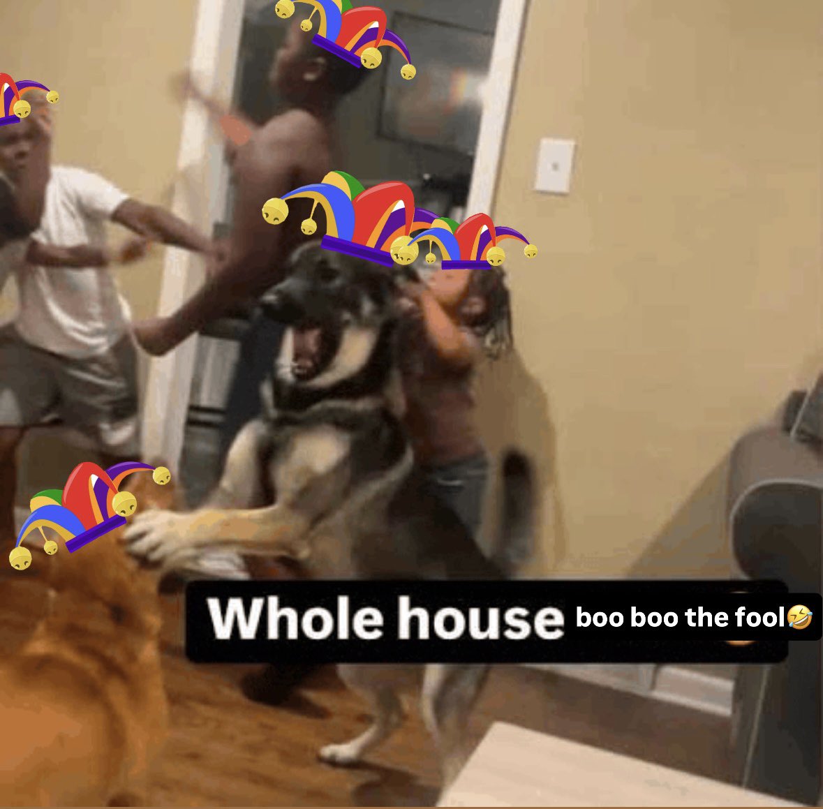 ethicalcainvnyl's tweet photo. #loveislandusa https://t.co/QZiLddUveR