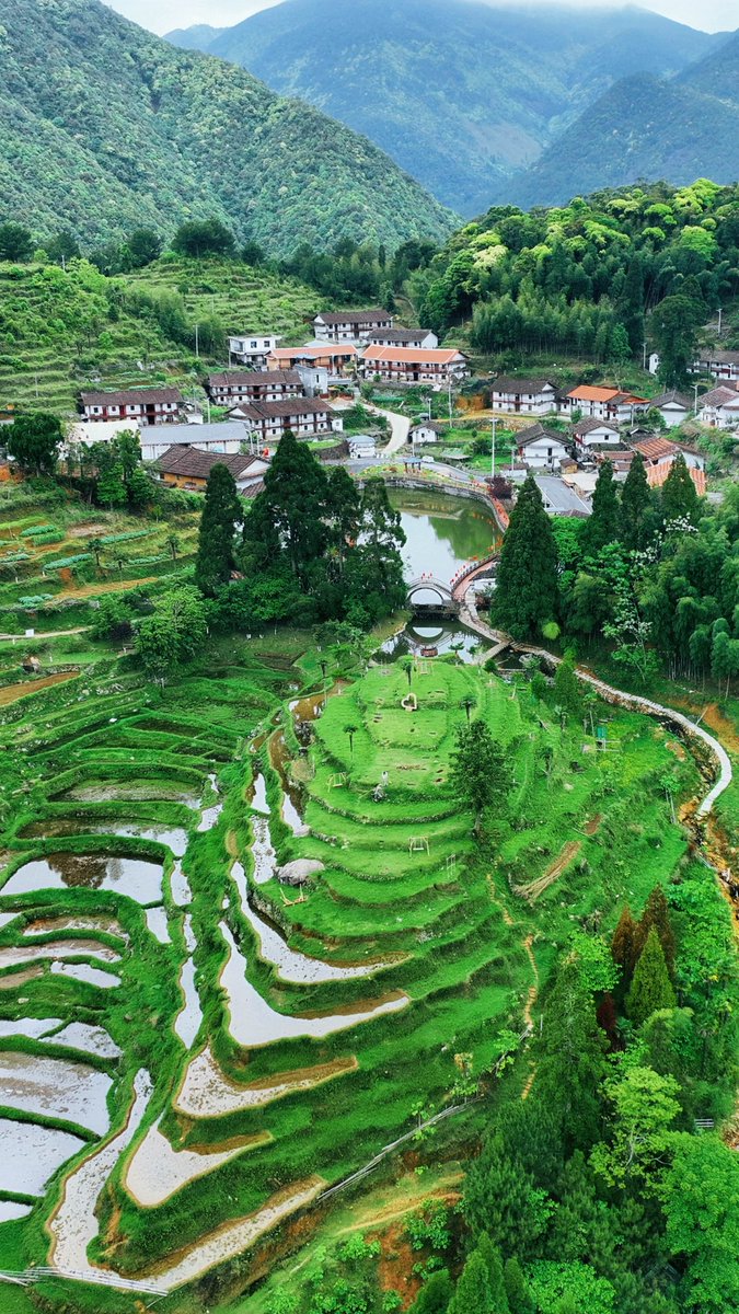 HolaFujian's tweet photo. Worth the climb, worth the view. 🌿
Perched 1,200 meters above sea level, Qianxi Village—the highest village in Putian—is home to breathtaking terraced fields that offer a peaceful escape into nature.
#Putian #Fujian #ChinaTravel #RefreshingFujian
@fujiantravel @CGMeifangZhang @zhang_heqing @ChinaEmbJA @ZhongBai2020 @China_Lyon @ChinaConSydney @CGChinaSP @SpokespersonHZM @Chinaemb_Hellas @China_Amb_Mdv @XIEYongjun_CHN @EmbSuarezSalvia @SLembassycn @ChinaEmbSL