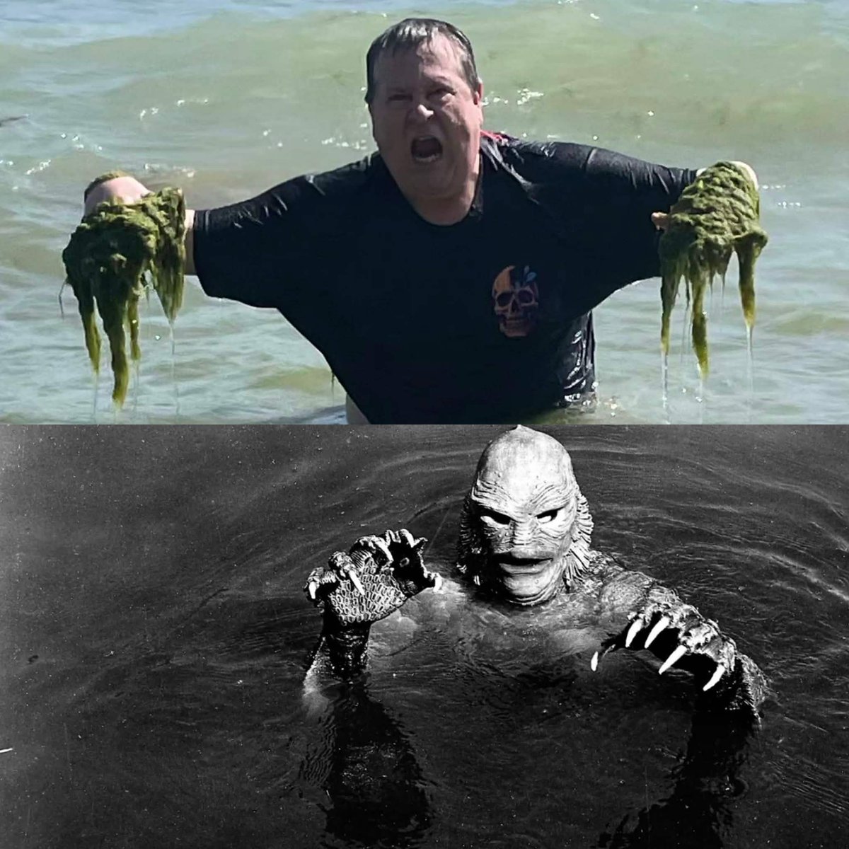 PaulieEsther1's tweet photo. I told a story on stream today about me hunting in the algae of Lake Erie for my buddy's lost wedding ring. I shared a picture of how much algae there was and my community went to town. They topped themselves when trolling me about my soft hands. @DEATHDORKS this may or may not be the secret to my soft hands. 😂 

No I didn't find his ring sadly. 😪