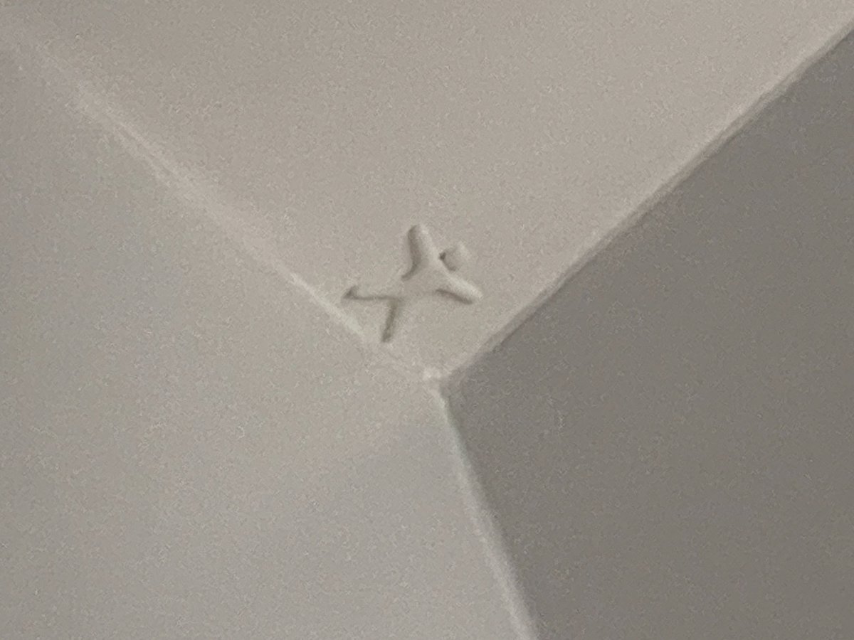 bbunyii's tweet photo. NO WAY SOMEONE IN MY FAMILY IS PLAYING MECCHA CHAMELEON IRL LMFAAOOO ITS ON THE CEILING 😭😭😭 https://t.co/X8HKhDeUNw