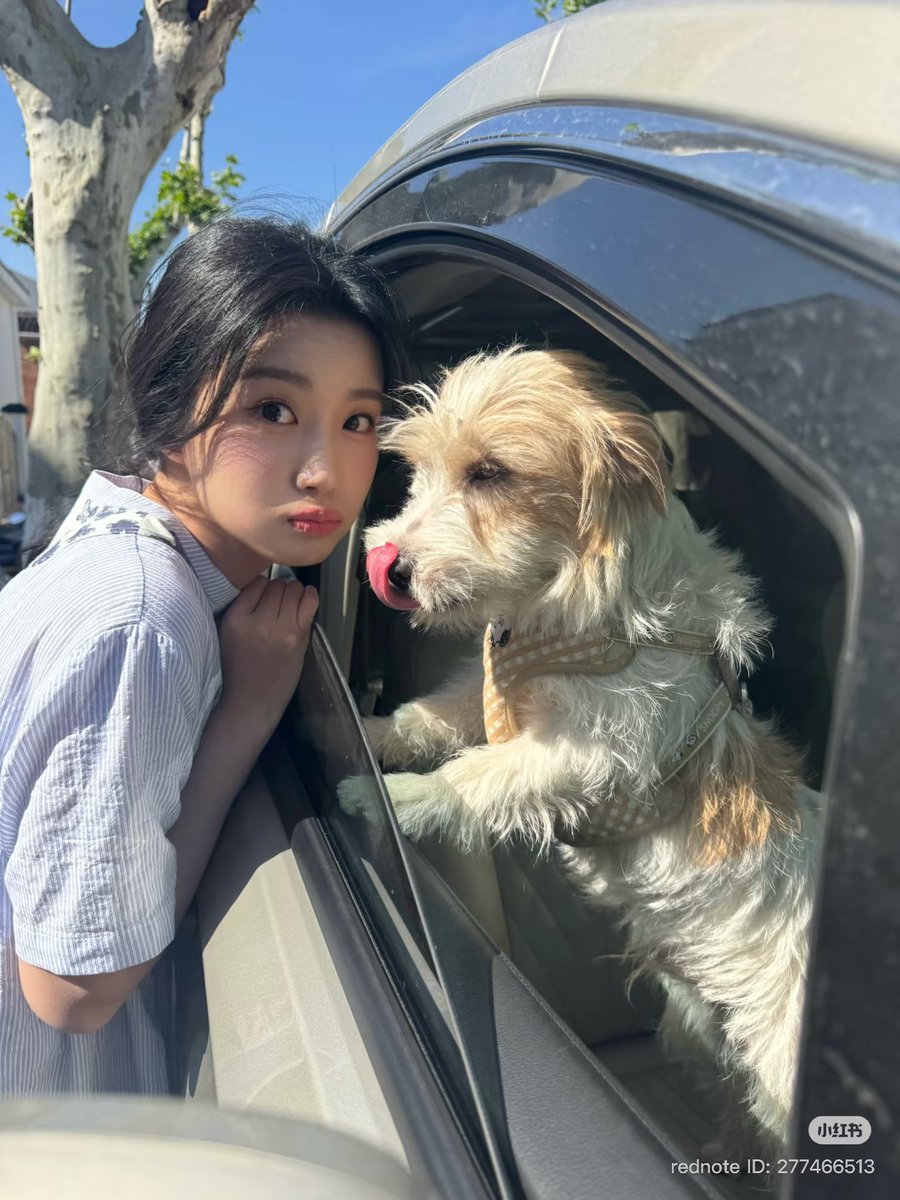 gimpigone's tweet photo. 나 이 사진이 너무너무 좋아서 그냥 눈에 넣고싶음 https://t.co/7tS5JfmZcr