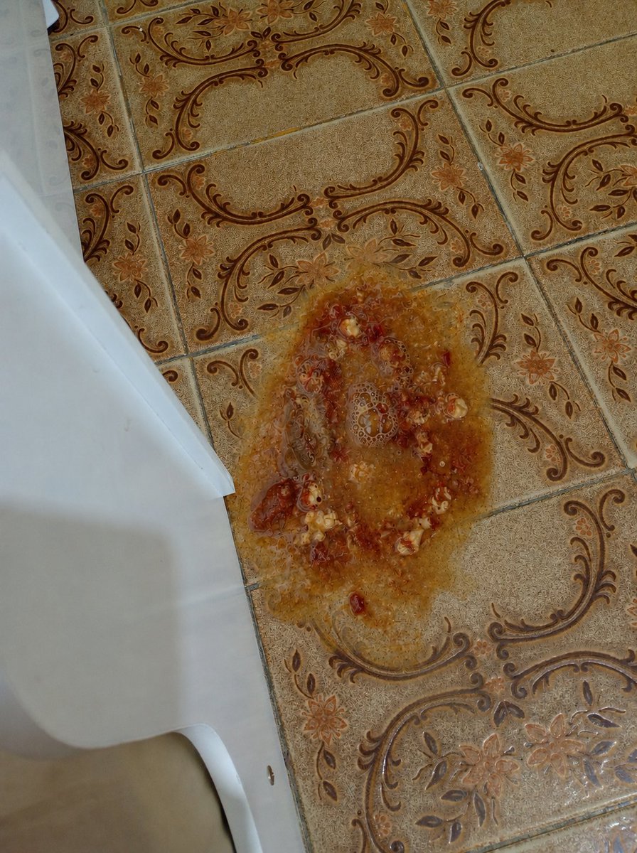 thaiannax's tweet photo. Pessoal, preciso pedir ajuda mais uma vez pela Cacau. 💔 Infelizmente, as ajudas pararam literalmente. A rifa praticamente parou e até as doações de R$ 1,00 ou R$ 0,50 deixaram de acontecer. Nos últimos dias, apenas duas pessoas compraram um número da rifa cada uma...+ https://t.co/YlgxVNRFLw