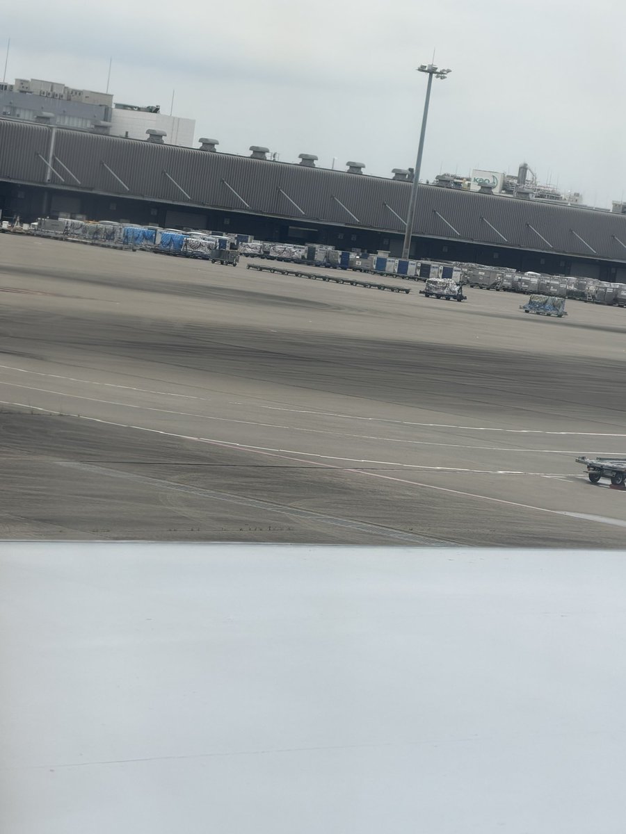 red_ryu's tweet photo. 帰国！快適な空の旅をありがとございました✈️ https://t.co/5DhsGXQk0j