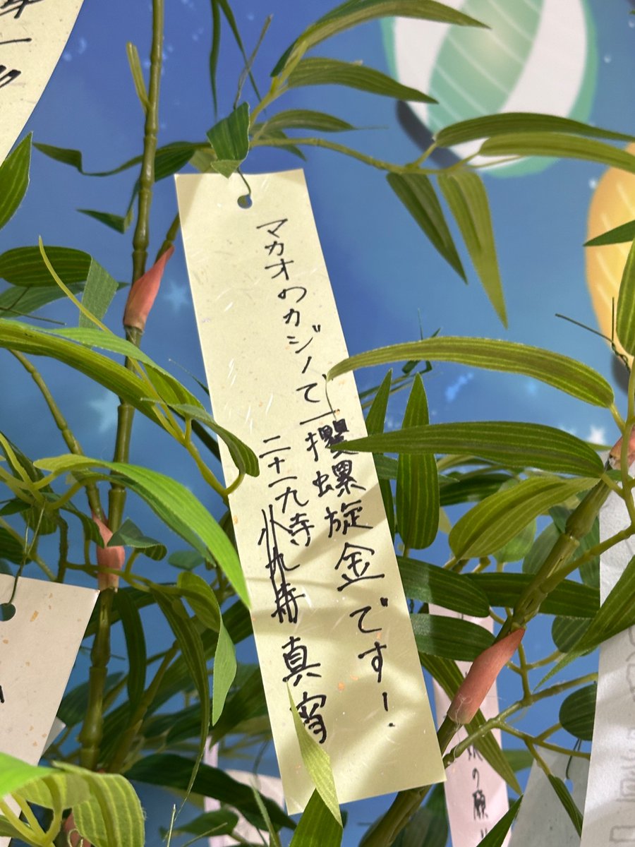Akibou846's tweet photo. #物語七夕祭2026
キャラ短冊
暦
ひたぎ
真宵
駿河
撫子 https://t.co/vP5fMin0UJ