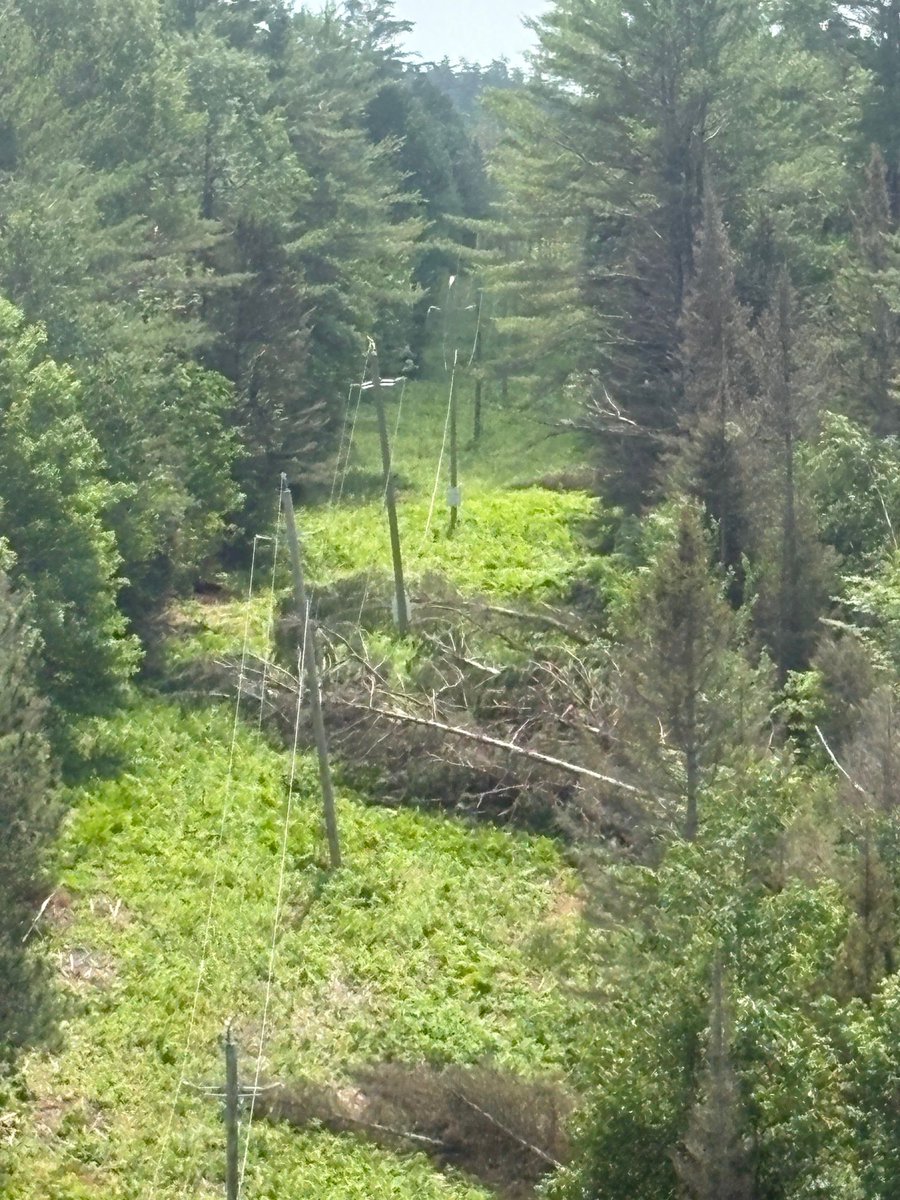 HydroOne's tweet photo. #OutageUpdate: Restoration efforts are ongoing, and our crews continue working as safely and quickly as possible to restore power following several rounds of severe thunderstorms. Additional support from contractors, utility partners and crews from across the province has been deployed to assist in the hardest-hit areas. Due to the extent of the damage, a significant number of customers in impacted areas are expected to remain without power overnight.
The risk of moderate to severe thunderstorms and extreme heat remains in place into tomorrow, and additional outages are possible. For the latest outage information, visit our outage map: https://t.co/bv13YDnHEG.
#SafetyReminders:
⚠️ Stay at least 10 metres away from any downed power line and report it by calling 911 and Hydro One at 1-800-434-1235.
⚠️ If you are using a generator, ensure it is outdoors and positioned away from windows, doors and ventilation openings to prevent carbon monoxide exposure.
💦 For information on cooling centres in your community call 211.